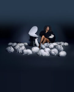 Soft Spa Bidet Seat