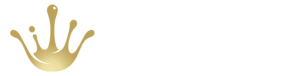 Soft Spa Bidet Logo