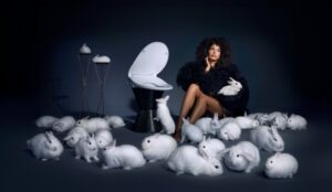 Soft Spa Bidet Toilet Seat